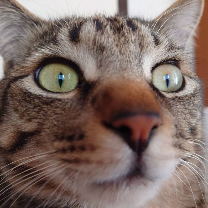 Abf1560c 8dca 4100 8cb9 9a54e4d1b261 1745063311428