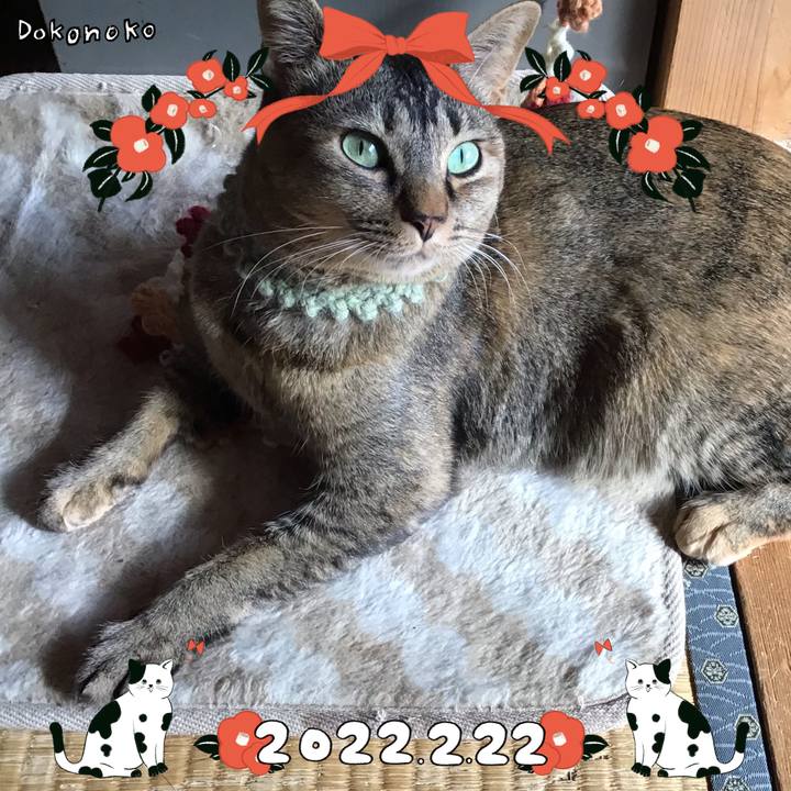 Abf1620d 8fd3 40ad a197 70b89cb20bc4 1645507580076