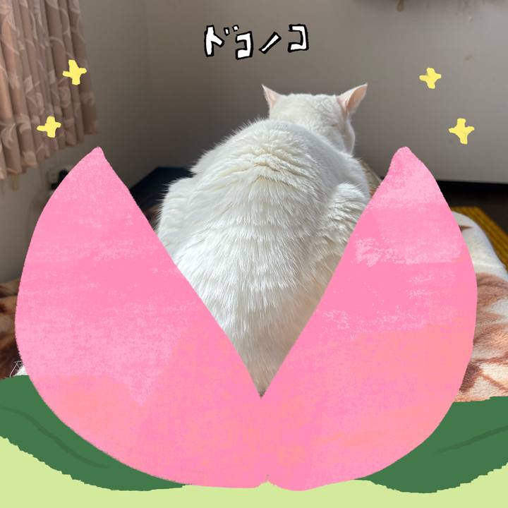 Abf18103 fb11 4099 bed8 72dd97e9e655 1772345818172