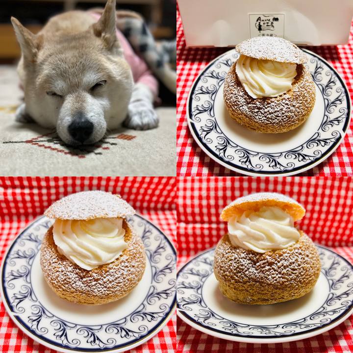 Abf1a5a3 2260 40cb a6e8 d9898a94488e 1746182135167