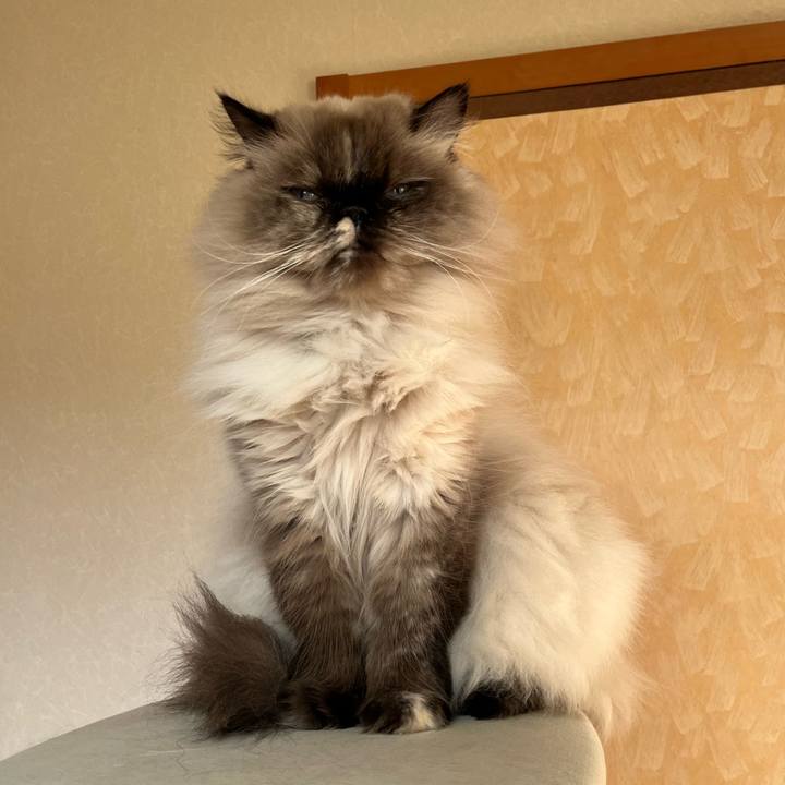 Abf1ab85 dcf6 4323 979f d2a81350a59b 1735825787869