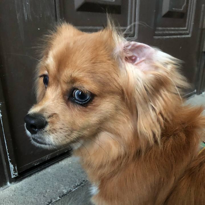 Abf1cbc2 d26c 446f abb3 0364264c3271 1510868337638