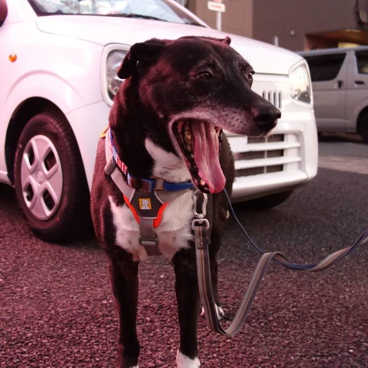 Abf1d981 96c7 484f 894b 33596a7605ee 1750244615487