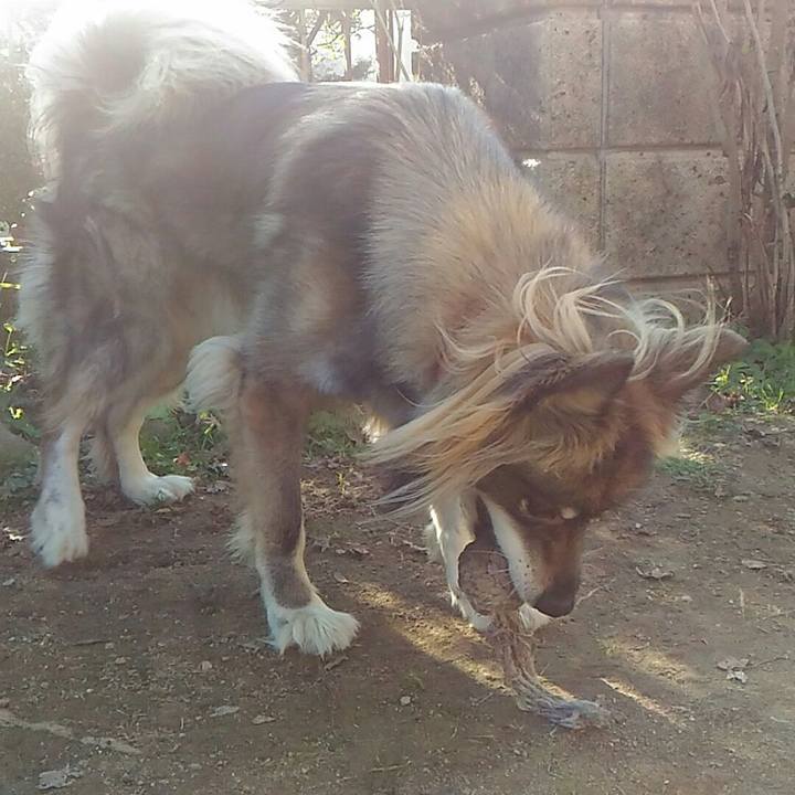 Abf1e6da 5344 4728 bd1f 40e4a0406ab3 1515196942067