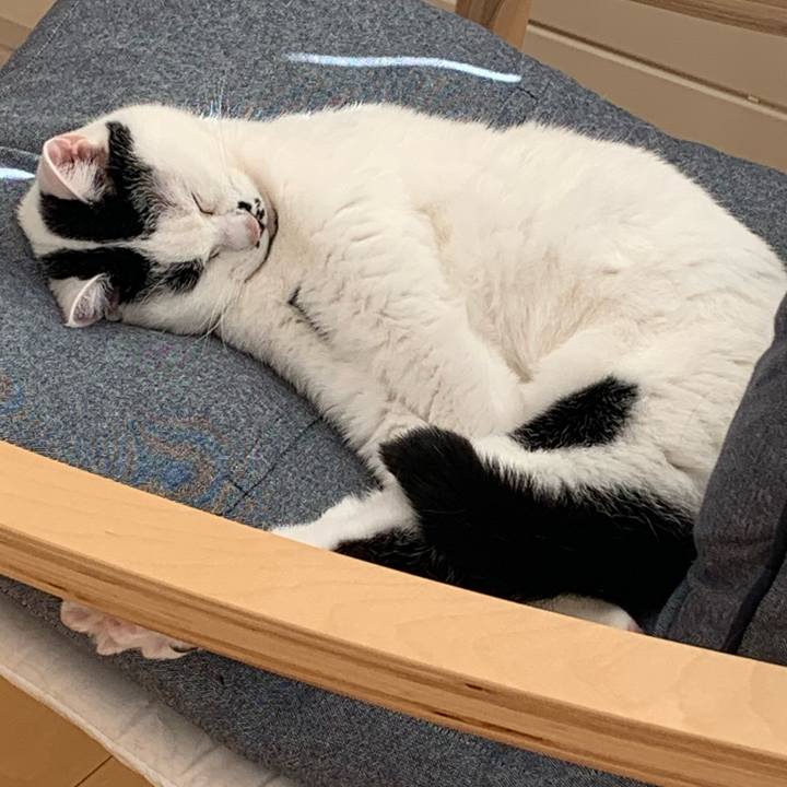 Abf229f1 85fa 4787 8e2c 3009a8edbde5 1739583217529