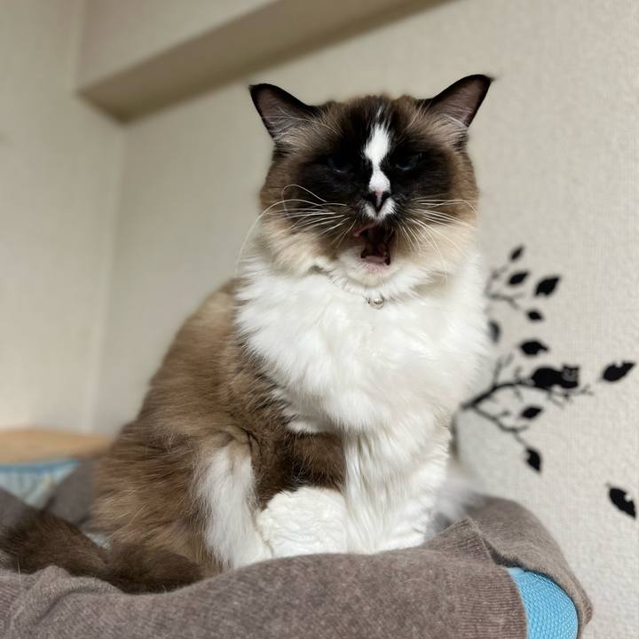 Abf22a20 be08 489d 8a27 336ae9a70752 1645103574687