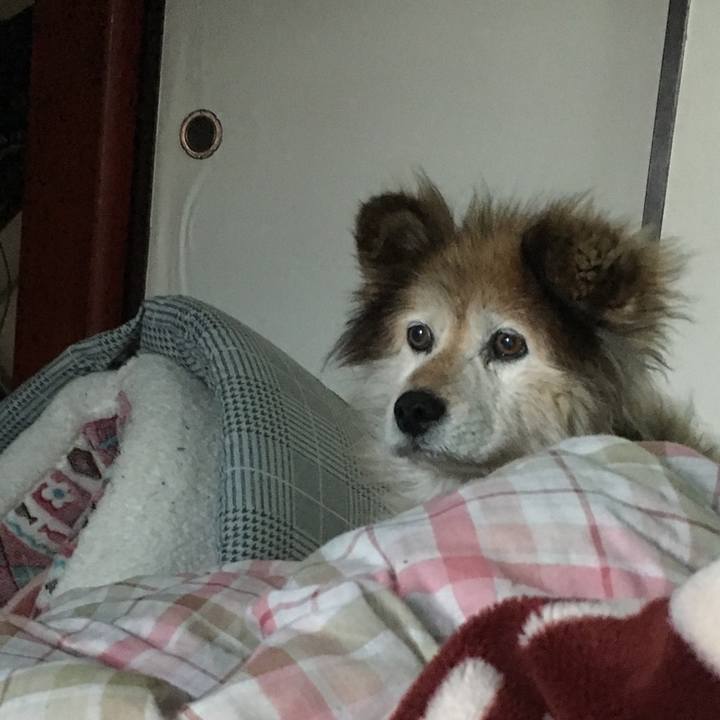 Abf23de7 8cde 468a b413 8ed4f3584a74 1614280562053