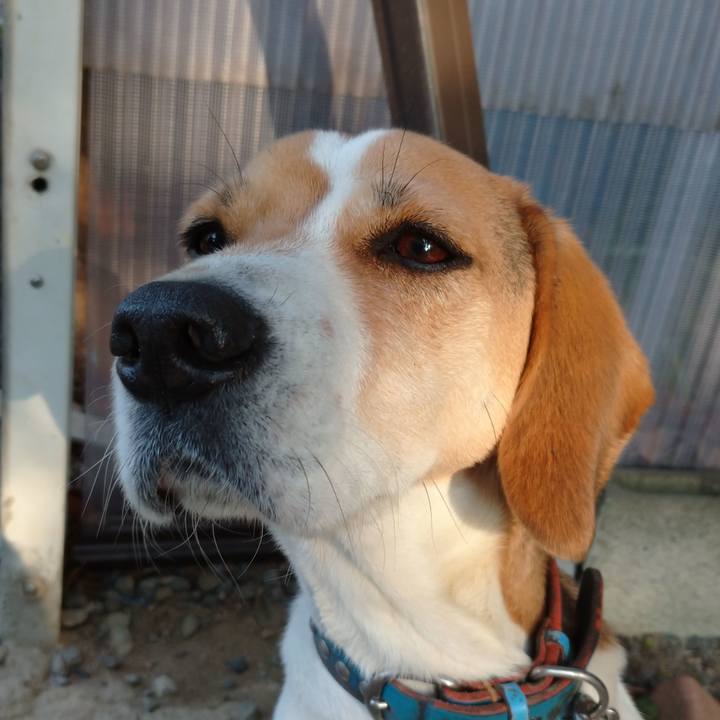 Abf265e9 07a6 40ff b35e 2180ea984bba 1608619263618