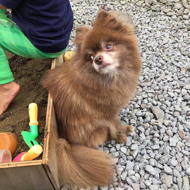 Abf2b70f af74 4124 9470 0f0011711768 1537060137050