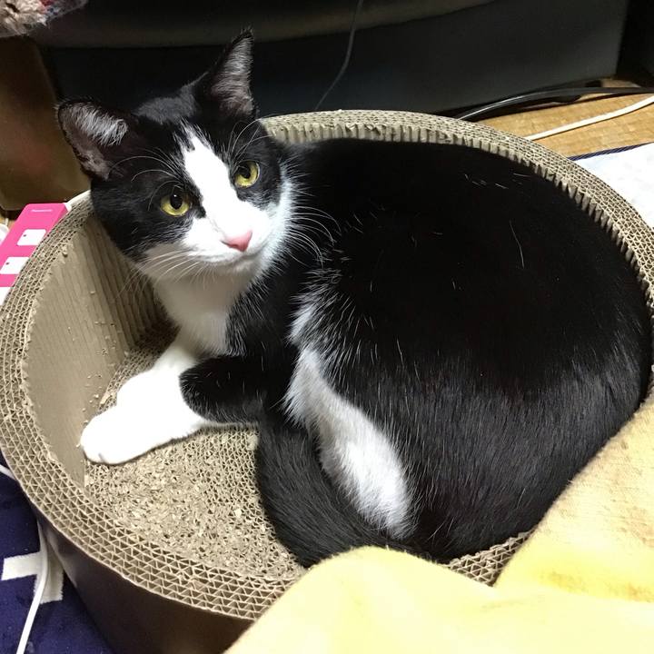 Abf2ea80 a48a 4bfb b4ba 66bdb5297fa6 1706782861856