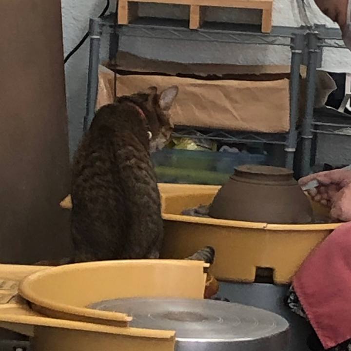 Abf319a5 d0e8 4092 bbdd bbe9c547a8eb 1662945960860