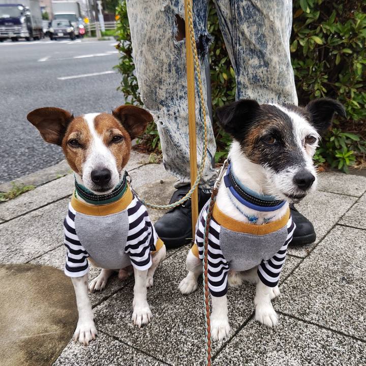 Abf32118 629a 4043 92ac 6677740dd5f0 1721082278073