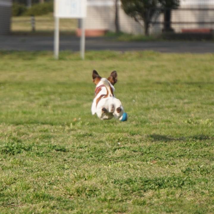 Abf3283b fb2e 407d 882f 4d9fb3b610d7 1555542284283