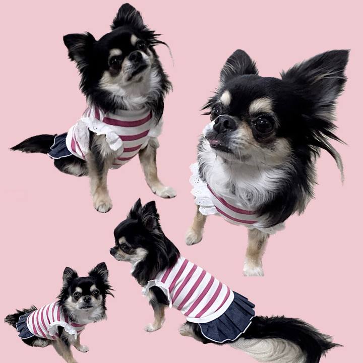 Abf33007 3a87 49b6 b61b 688e57836ddf 1667010934866