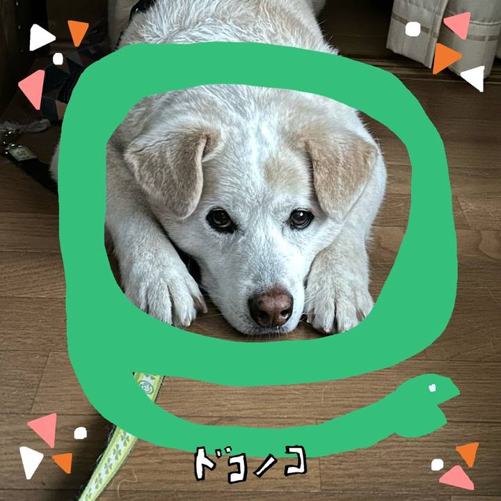 Abf38ed1 4142 4c53 8b35 b6b69faf9afa 1741173128882