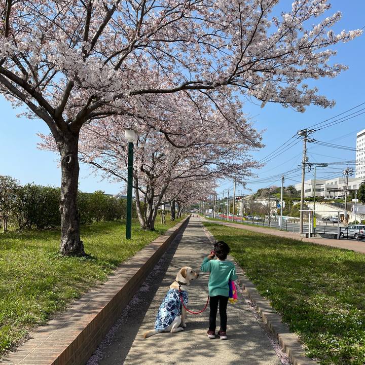 Abf3aff1 7755 4bc0 b67f 05b18bce905e 1649245335918