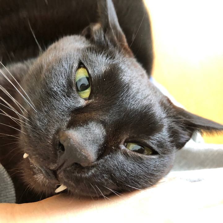 Abf3dc7b 6680 460a 8361 fe929578220e 1742075896855