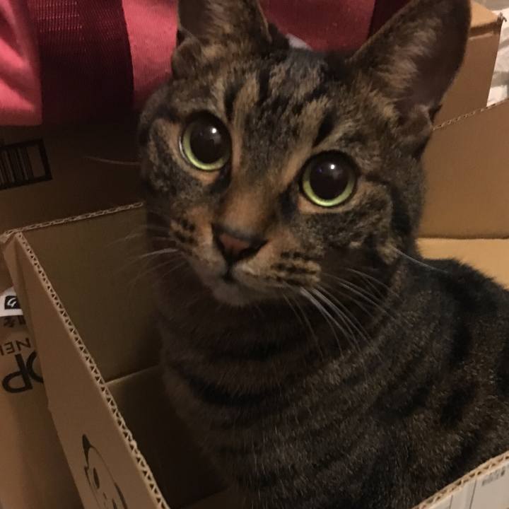 Abf3e2a0 fdab 4c9a b360 38c0abbfcb68 1545601298904