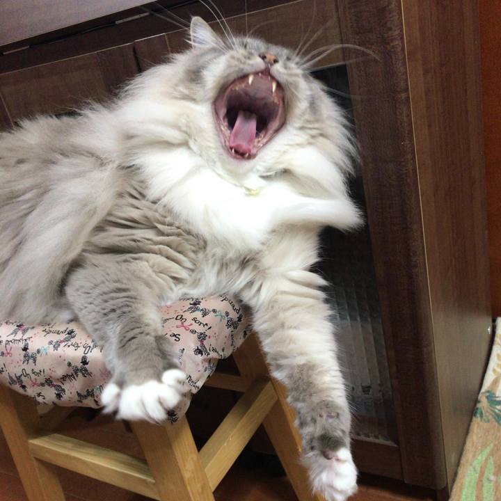 Abf3e582 d968 485e 87bc cbe58c531f78 1523486695910