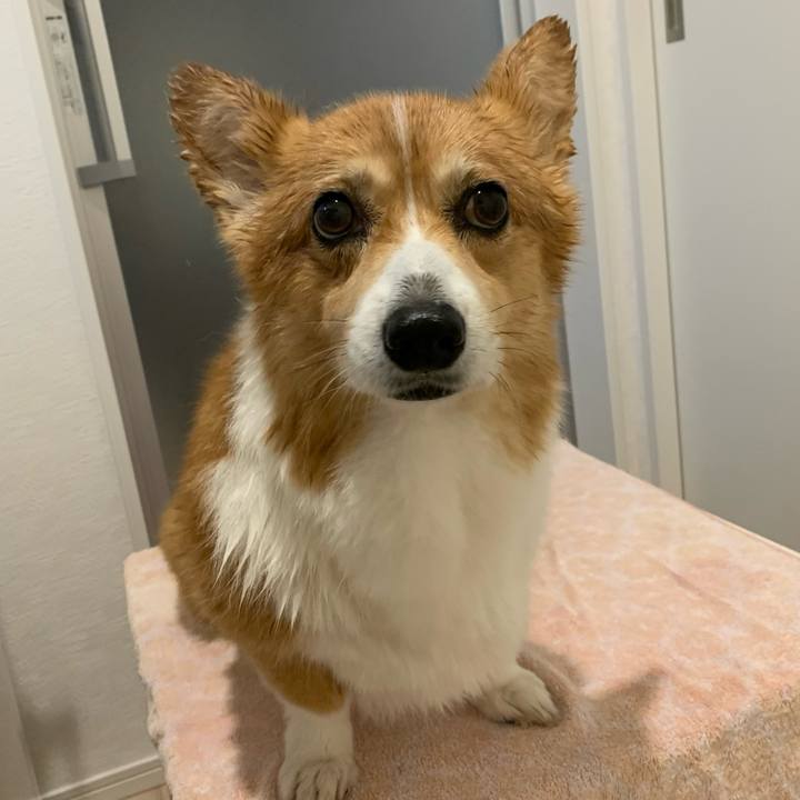 Abf3e97d 7816 46a4 a9bb a01b7f532372 1668067683246