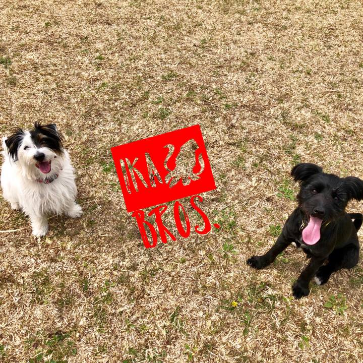 Abf43ed8 a297 40f5 9a68 52fe32bebd96 1555627889870