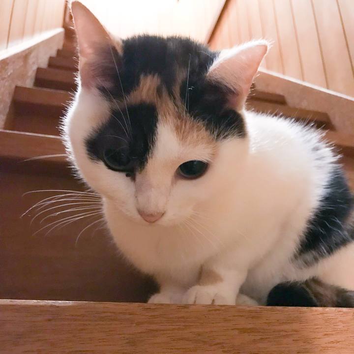 Abf44b86 62d8 46f2 91c8 d80c14f6177f 1512126899183