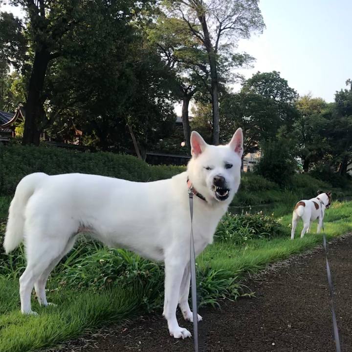 Abf44ce4 3e5a 48aa af9f 444d2b5b0139 1531604950242