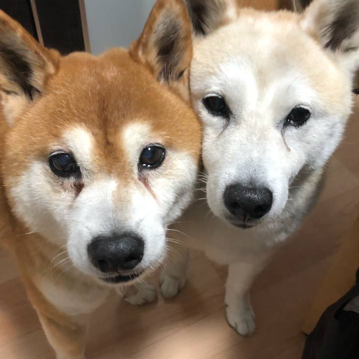 Abf4cc77 26b1 456b 9ee2 096f822d8ee6 1562321619547