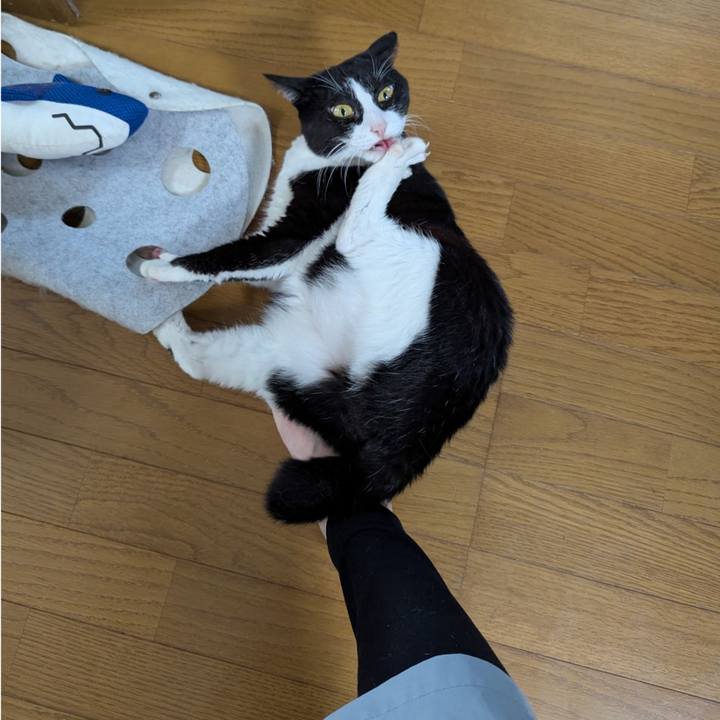 Abf4e5ea b5a5 41e8 bd13 df3c5f14371a 1758003448164