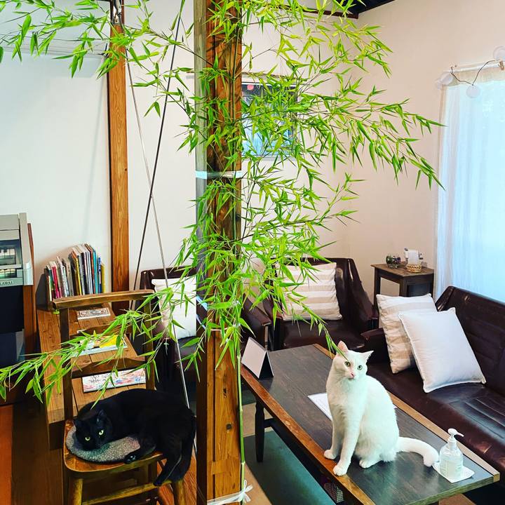 Abf512f2 d418 45ef ae8e 8825f2a3957b 1591503454298