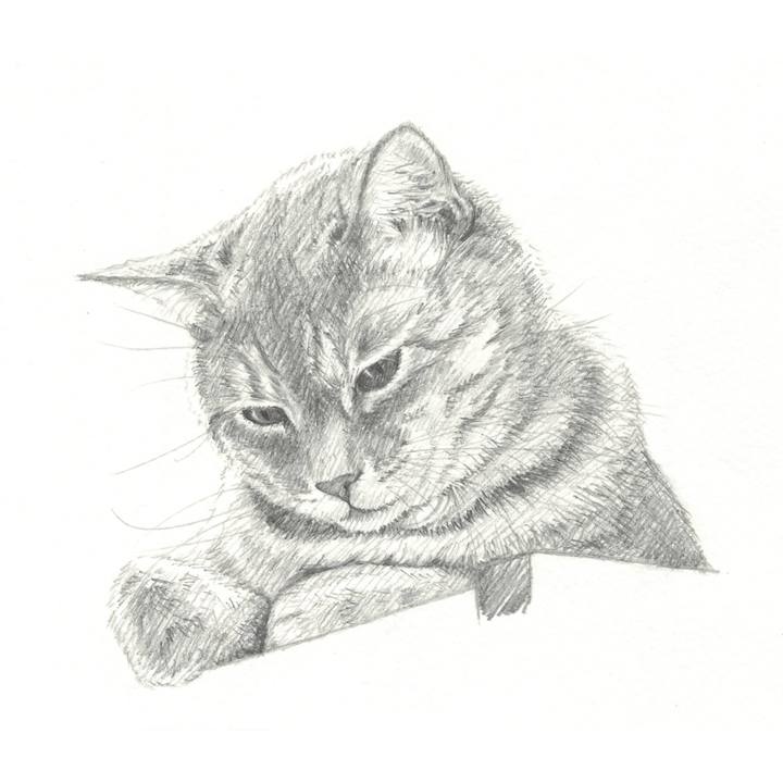 Abf58921 1ebb 4d1d 81f9 da2e529af4ee 1541161875249