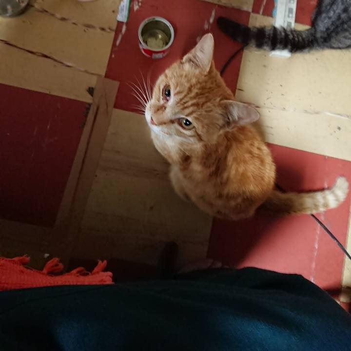 Abf59fce b199 4b3f 99f1 40f9fa306fcb 1558037692099