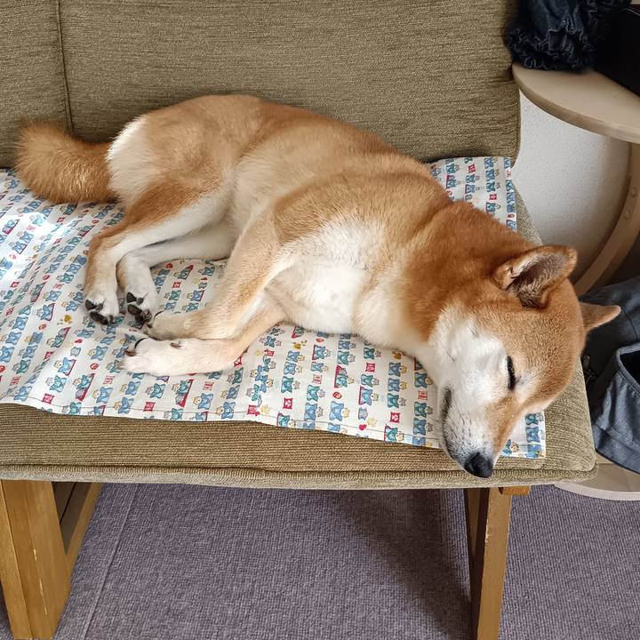 Abf5a646 5fad 43ac b95a efdbf8ef0912 1753141139542