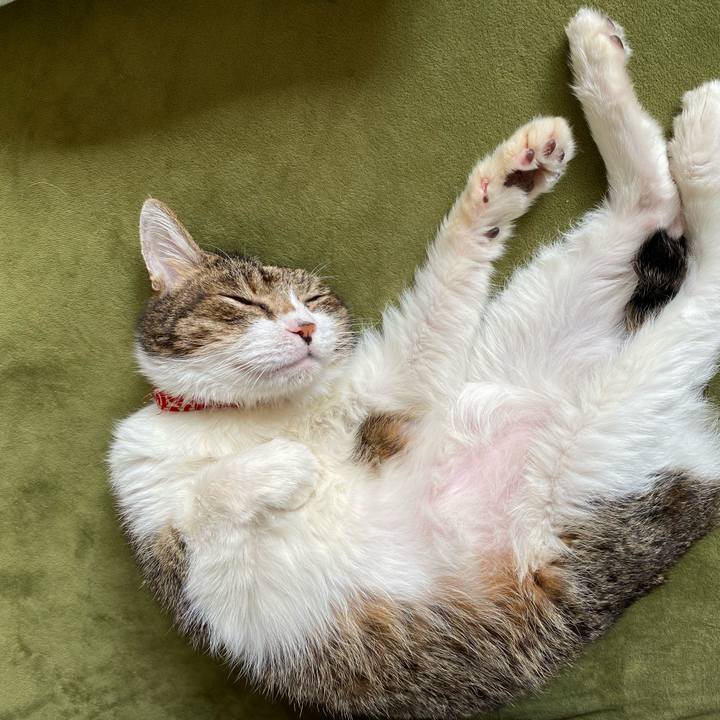 Abf5c2f7 6cb3 4caf aa52 7cc9e98400b9 1601186567376