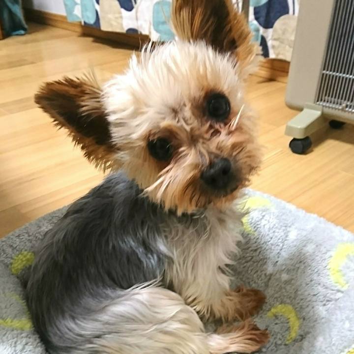 Abf63533 4a8e 4bbd bb3a c6097614a29d 1517590316889