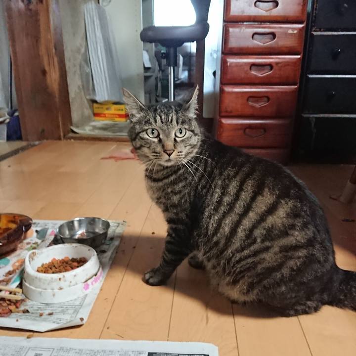 Abf6543b 3ec9 4825 b56f b1c6f8cb8864 1656624217049