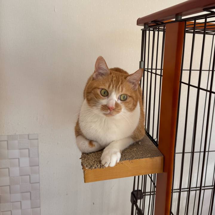 Abf67616 d553 4494 967a ff8d936e573a 1769230489631