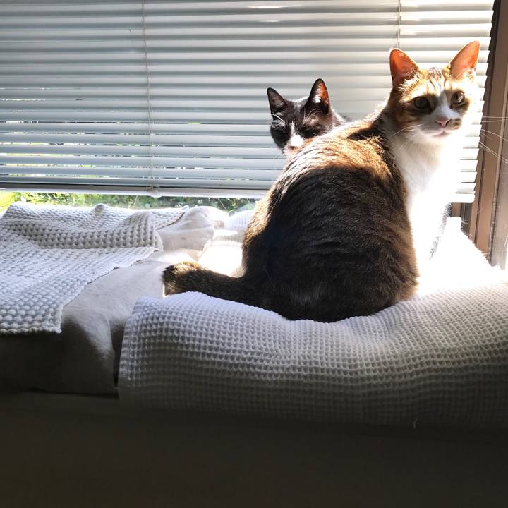 Abf67bd3 9273 41c3 a4bd d2b650a55715 1558845030729