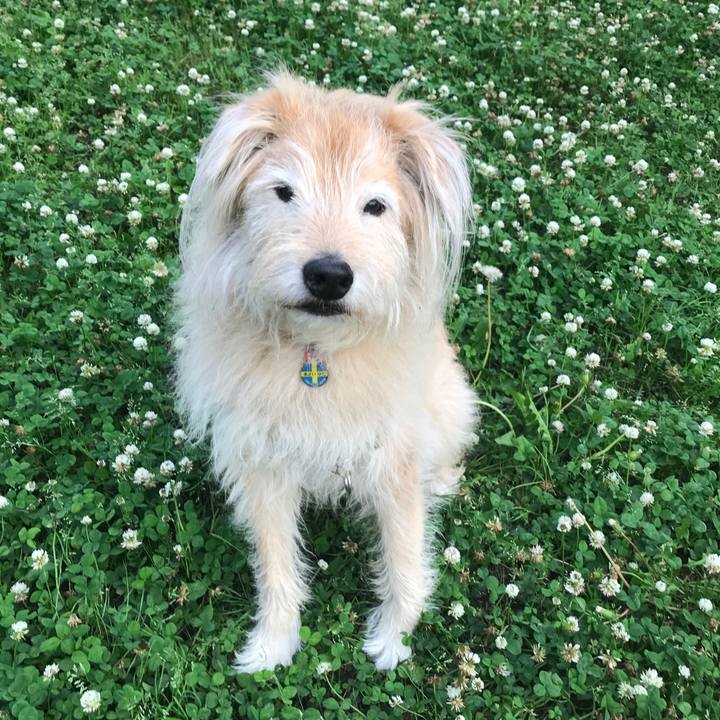 Abf6aaac f8a1 4e3c 999f af147130bf25 1621938803998