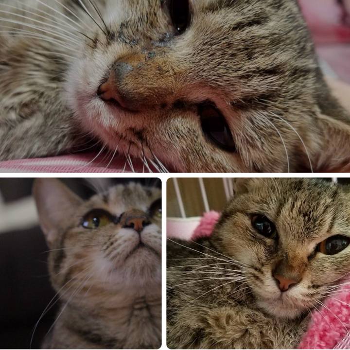 Abf6b29a 7c0f 4058 b0bc 831e653b71ea 1767570157797