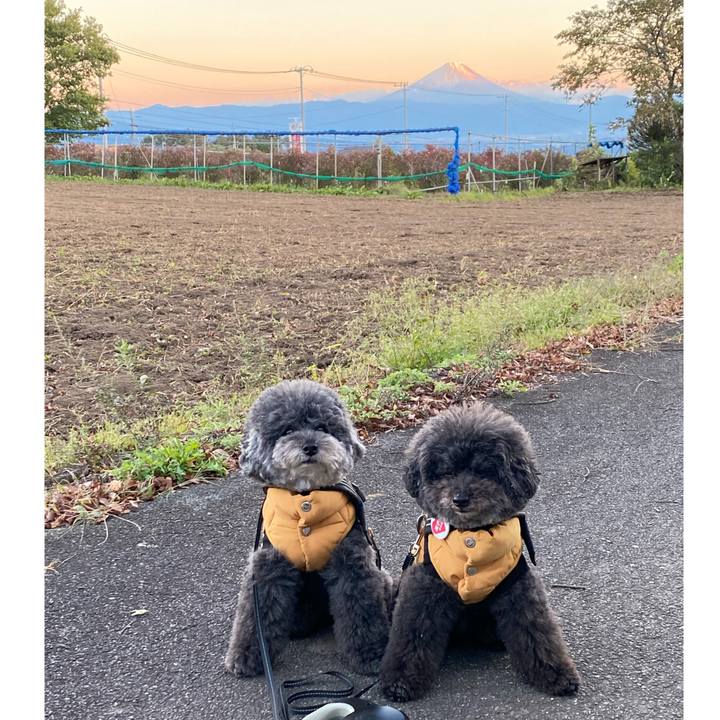 Abf6d360 9192 426b ba27 0b430f7e7e48 1635066261035