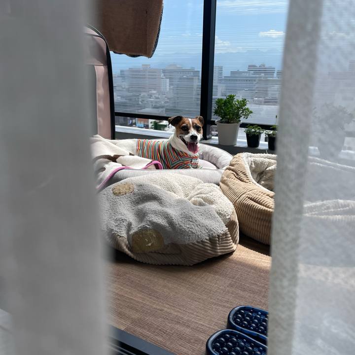 Abf7079c ab31 4b32 98c2 f9765ef23410 1749258170392