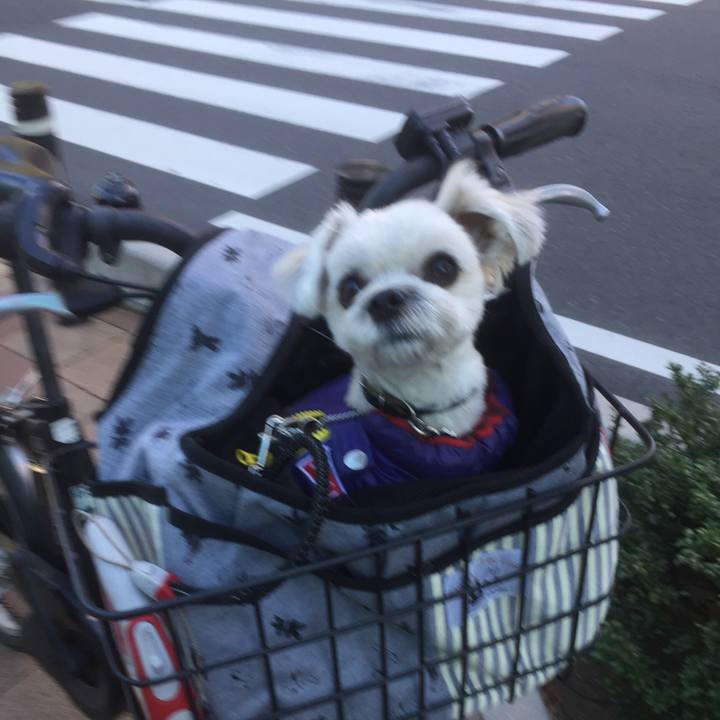 Abf70c61 9b87 453b 9705 5697d045c9d7 1513576224875