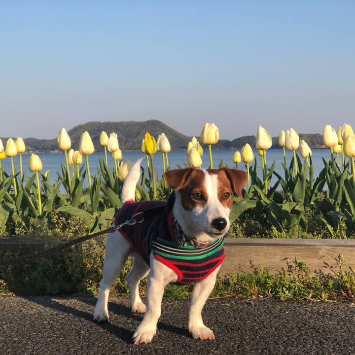 Abf74fdb 2ff3 437e aedf 145564906e62 1555370307117