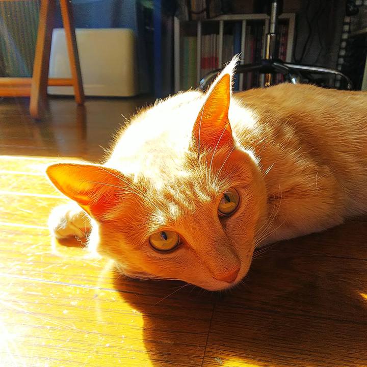 Abf7a25e bc71 4cdb 81c0 cfb590f9ef4e 1595571919615