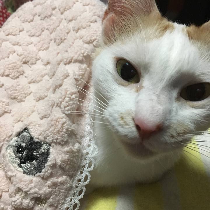 Abf7b36b e51c 46bf 8fc8 c2fb3d609837 1531747893707