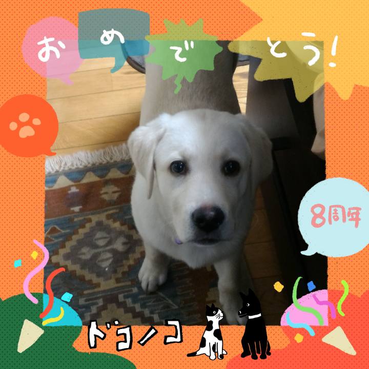 Abf8362d 0504 4ebf 98d0 6fafe501b7f3 1717589907565