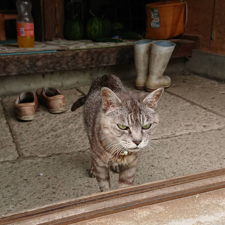 Abf83836 ca51 489c b5b5 a30d49496a01 1566884953205