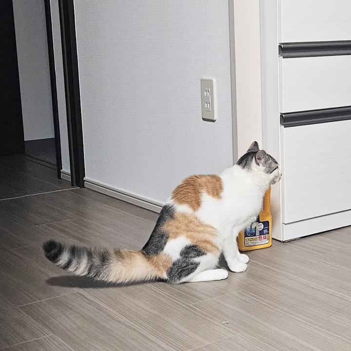 Abf8c8de c852 492c 9612 b68276987252 1757051800901