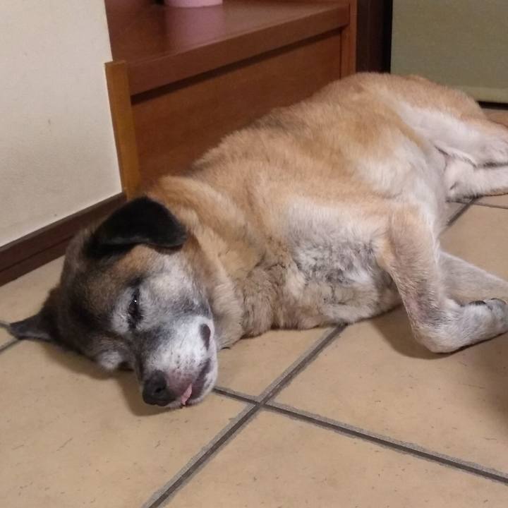 Abf8d290 2fec 4c01 8d5d 72ef57b7ae7a 1565521386358